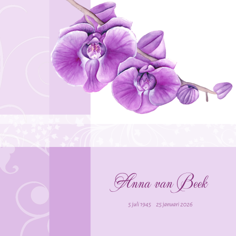 Rouwkaart orchidee bloem purple