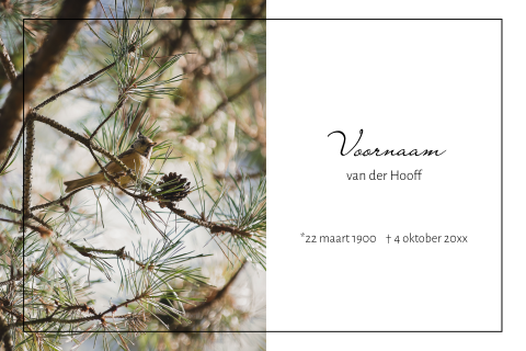 Rouwkaart elegant met vogel