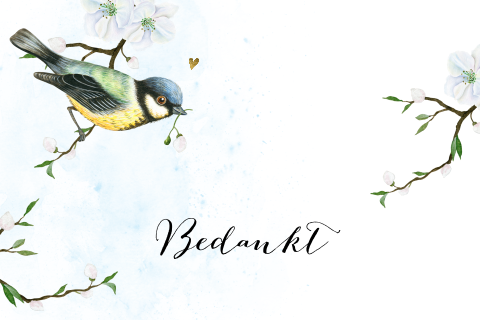 Bedankkaart met takjes en vogel koolmees
