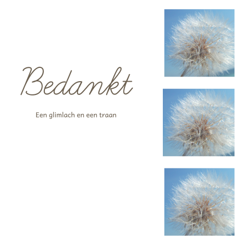 Bedankkaart met afbeeldingen van een paardenbloem