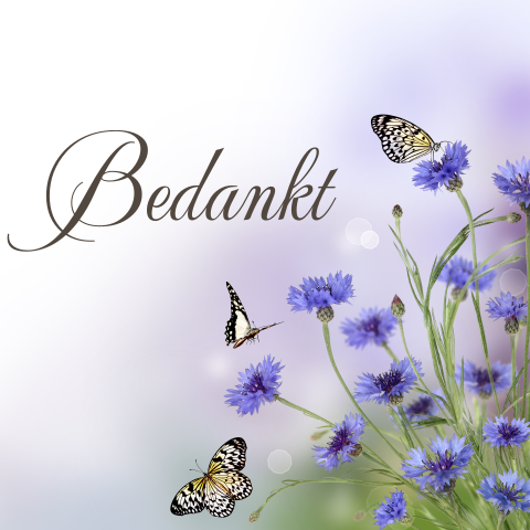 Bedankkaart met vlinders en paarse korenbloemen