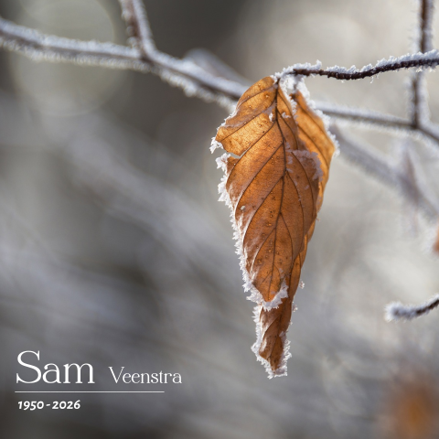 Winterse rouwkaart tak en blad met vorst
