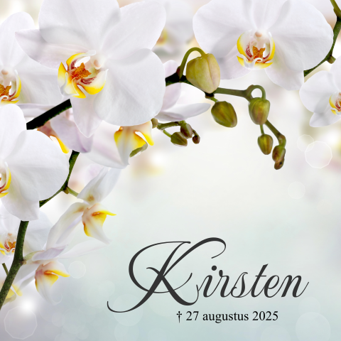 Mooie rouwkaart met witte orchidee en vergrijsd groen