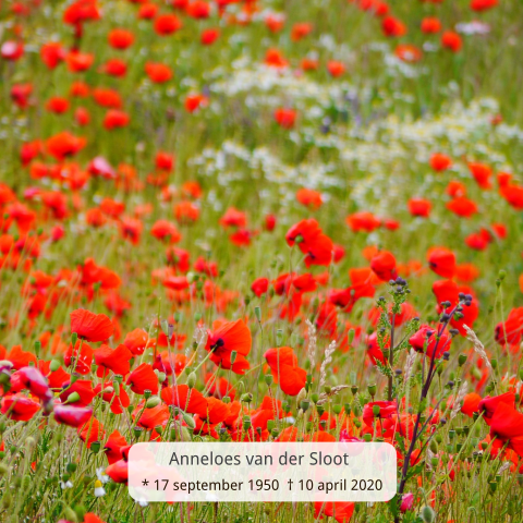 Mooie bloemen herinneringkaart groen met rode bloemen