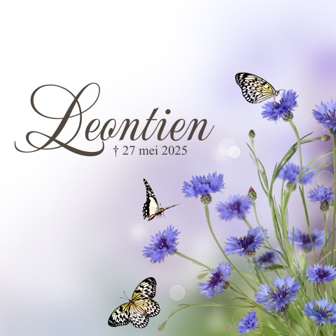 Mooie rouwkaart met vlinders en paarse korenbloemen
