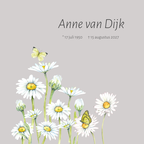 Rouwkaart met witte margrieten en vlinder