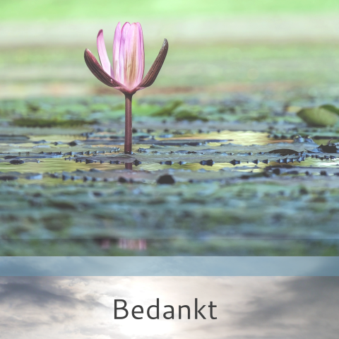 Mooie bedankkaart vrouw of man met paarse waterlelie en veel groen