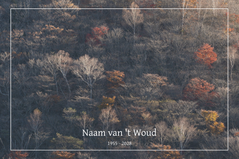 Rouwkaart met getekend bos / wood