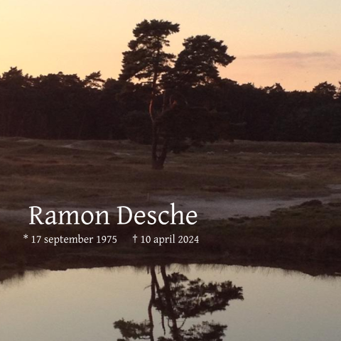 Moderne rouwkaart met foto van de ochtendzon in het bos