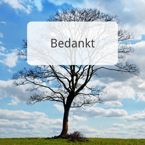 Moderne bedankkaart met mooie boom en blauwe lucht