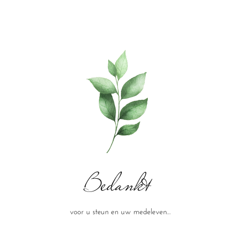 Bedankkaart na overlijden met bladgroen, groen takje