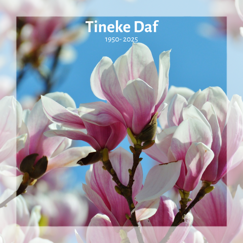 Moderne rouwkaart met  roze magnolia