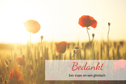 Klassieke bloemen dankbetuiging met rode klaprozen in het veld