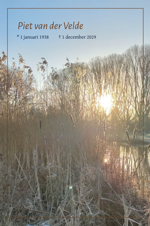 Rouwkaart winter riet kromme rijn sneeuw