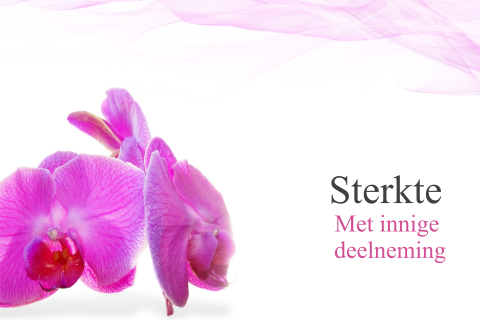 Sterkte kaart met roze orchidee