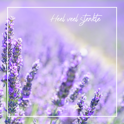 Mooi paarse sterkte wenskaart lavendel witte rouwrand