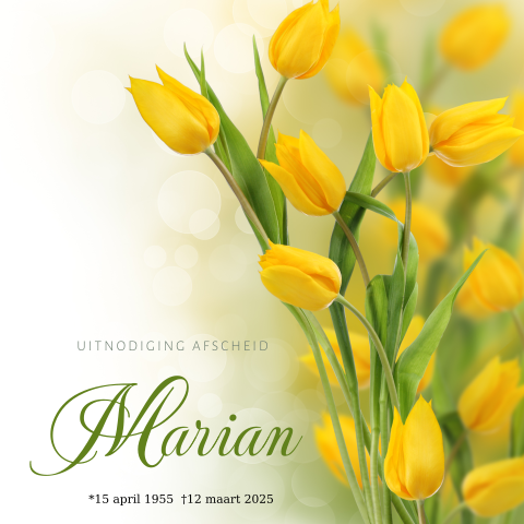 Rouwkaart groen gele tinten met tulpen