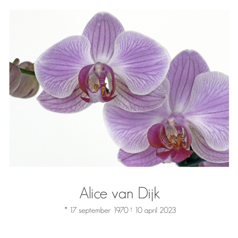 Stijlvolle rouwkaart met paarse orchidee en grijze tekst