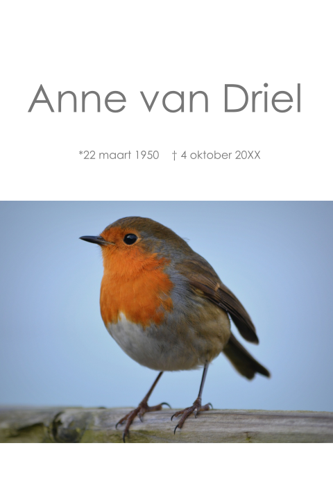 Mooie rouwkaart met roodborstje