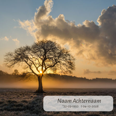 Mooie moderne rouwkaart met boom in de winter 