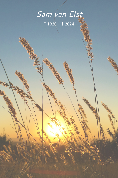 Rouwkaart met ondergaande zon en gras sprieten
