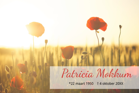 Klassieke bloemen rouwkaart met rode klaprozen in het veld