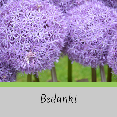 Dankbetuiging met paarse bloemen en groen