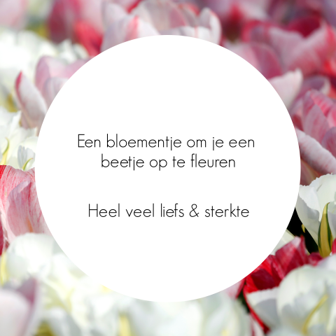 Kaart binnenkant