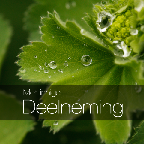 Condoleancekaart waterdruppels op blad