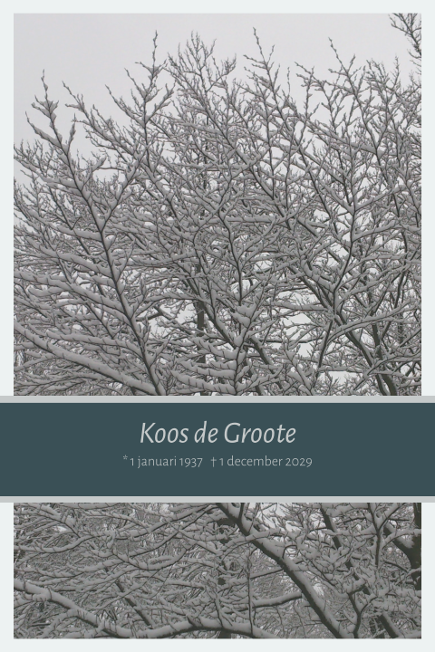 Rouwkaart winter takken met sneeuw