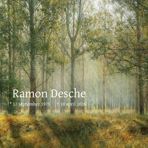 Rouwkaart bos met de zon tussen de bomen