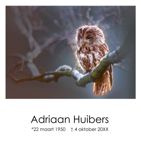 Rouwkaart met een foto van een uil