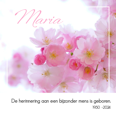 Rouwkaart met roze bloemen bloesem