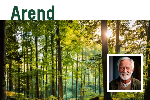 Rouwkaart voor een man met eigen foto en bos met bomen