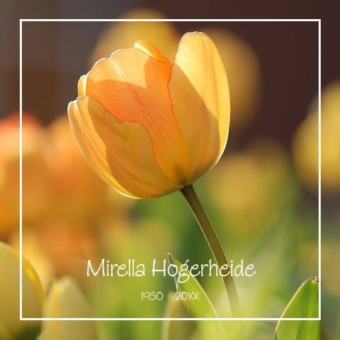 Mooie rouwkaart met gele tulpen en witte rouwrand