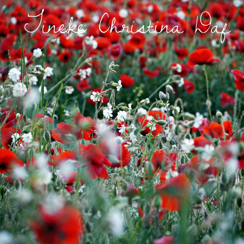 Fotografie dankbetuiging met rode en witte veldbloemen