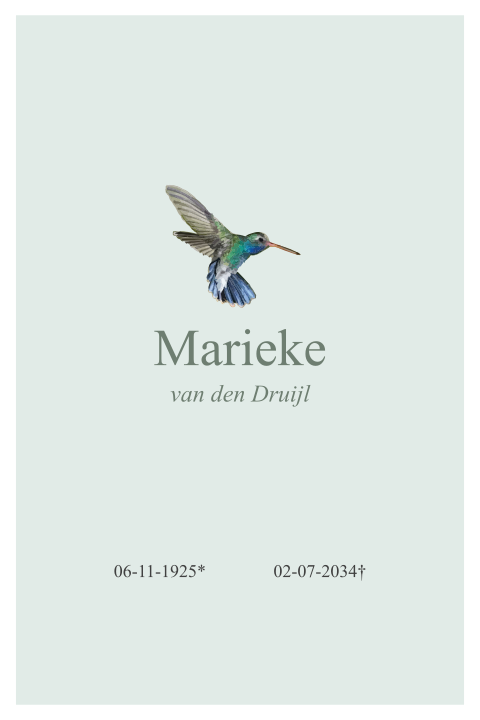 Rouwkaart met een vogeltje kolibrie ijsvogel