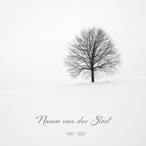 Winter rouwkaart kale boom met takken