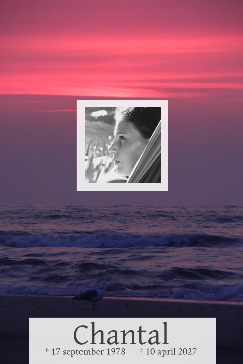 Mooie rouwkaart met foto van zee roze lucht en meeuw