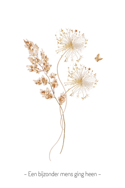 Rouwkaart wit met vlinder paardenbloem