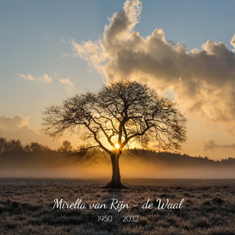 Mooi foto rouwkaart met winter landschap en boom