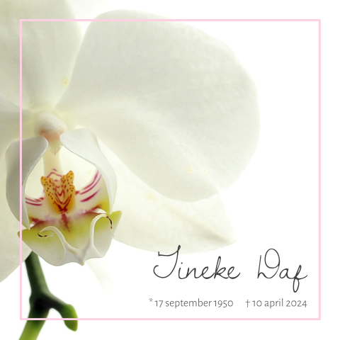 Moderne rouwkaart met orchidee