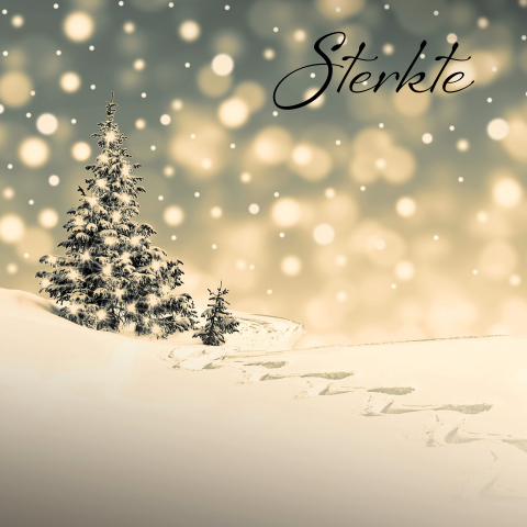 Kerstwens veel sterkte boom na overlijden