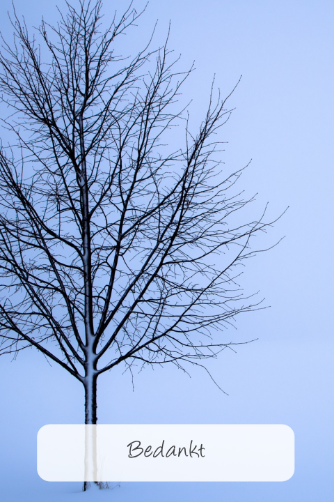 Blauwe warme bedankkaart kale boom met takken