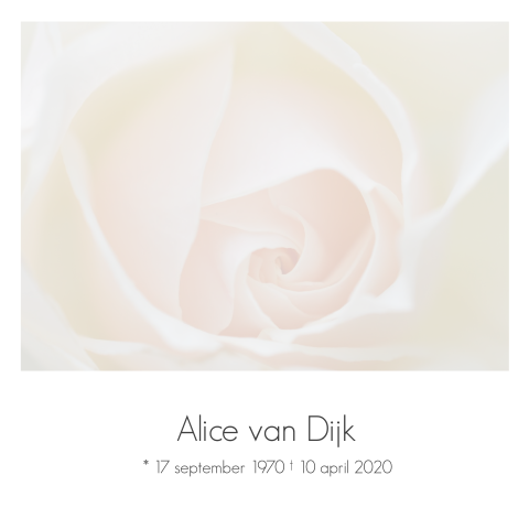 Stijlvolle herinneringskaart met roze witte roos en grijze tekst