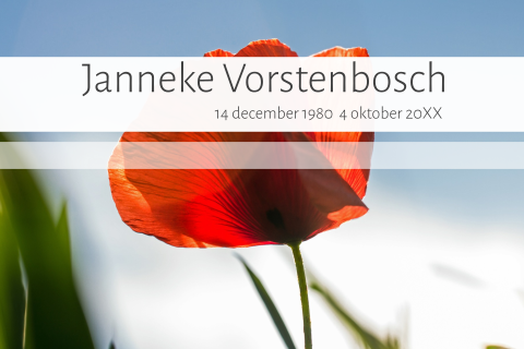 Foto rouwkaart met rode klaproos en blauwe lucht met wit kader
