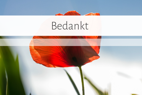 Foto bedankkaart met rode klaproos en blauwe lucht met wit kader
