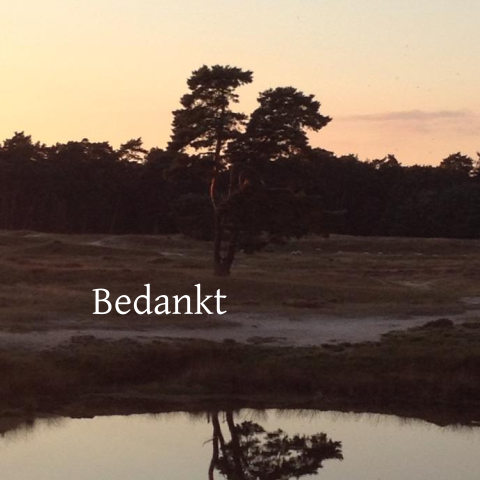 Moderne bedankkaart met foto van de ochtendzon in het bos