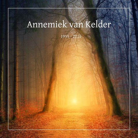Rouwkaart met licht in het woud bos