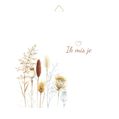 Tegel herinnering ik mis je droogbloemen